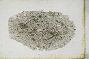 Plane Polarized, S9687