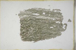 Plane Polarized, S9763