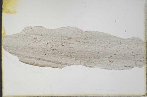 Plane Polarized, S9765