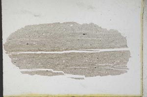 Plane Polarized, S9770