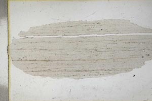 Plane Polarized, S9774