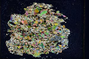 Cross Polarized, S9785