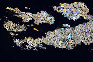 Cross Polarized, S9790