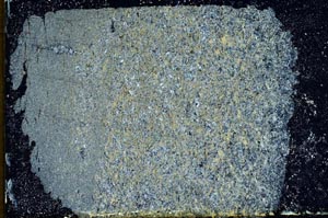 Cross Polarized, S9791