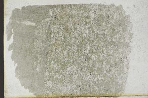 Plane Polarized, S9791