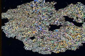 Cross Polarized, S9792