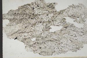 Plane Polarized, S9792