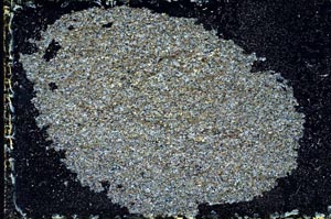 Cross Polarized, S9793