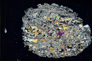 Cross Polarized, S9817