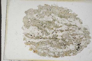 Plane Polarized, S9817