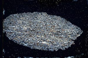 Cross Polarized, S9818