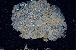 Cross Polarized, S9819