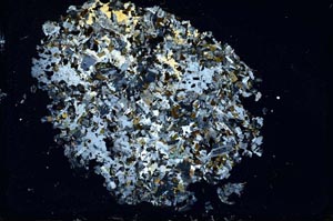 Cross Polarized, S9836