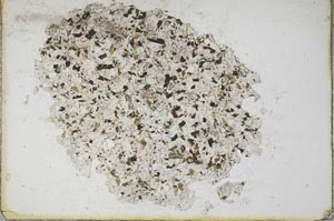 Plane Polarized, S9836