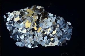 Cross Polarized, S9837