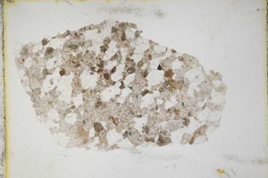 Plane Polarized, S9837