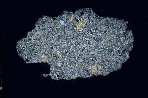 Cross Polarized, S9839