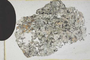 Plane Polarized, S9856