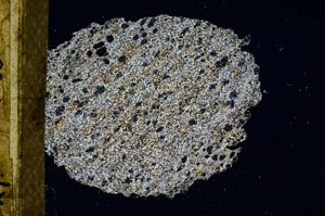 Cross Polarized, S9865