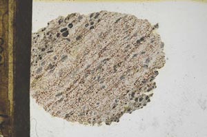 Plane Polarized, S9865