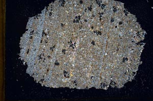 Cross Polarized, S9868