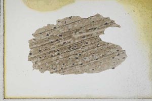 Plane Polarized, S9870