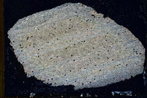 Cross Polarized, S9871