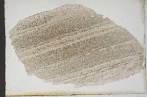 Plane Polarized, S9871