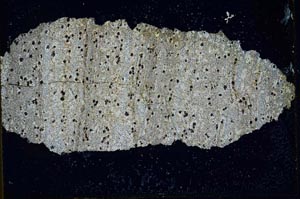 Cross Polarized, S9873