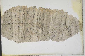 Plane Polarized, S9873