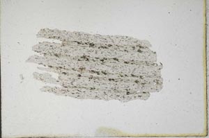 Plane Polarized, S9876