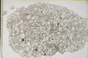 Plane Polarized, S9879