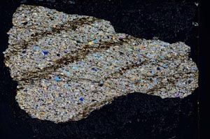 Cross Polarized, S9881