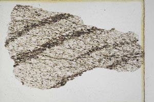 Plane Polarized, S9881