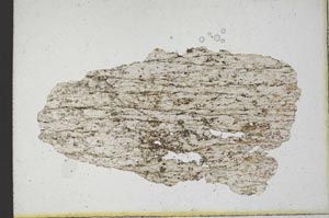 Plane Polarized, S9889