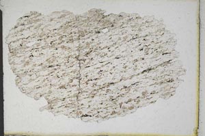 Plane Polarized, S9892