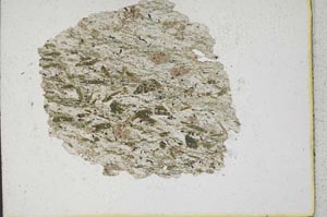 Plane Polarized, S9903