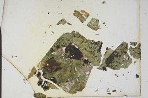 Plane Polarized, S9922