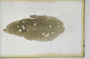 Plane Polarized, S9955