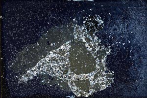 Cross Polarized, S9961