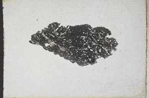 Plane Polarized, S9963
