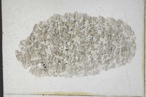 Plane Polarized, S9990