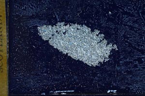 Cross Polarized, S9991