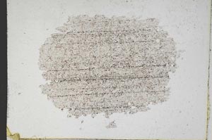 Plane Polarized, S9992/A