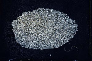 Cross Polarized, S9993