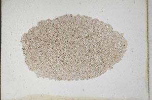 Plane Polarized, S9993