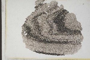 Plane Polarized, S9994