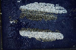 Cross Polarized, S9995