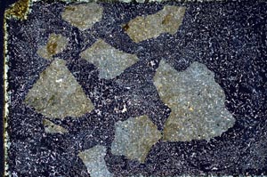 Cross Polarized, S10037