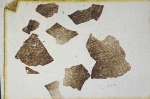 Plane Polarized, S10037